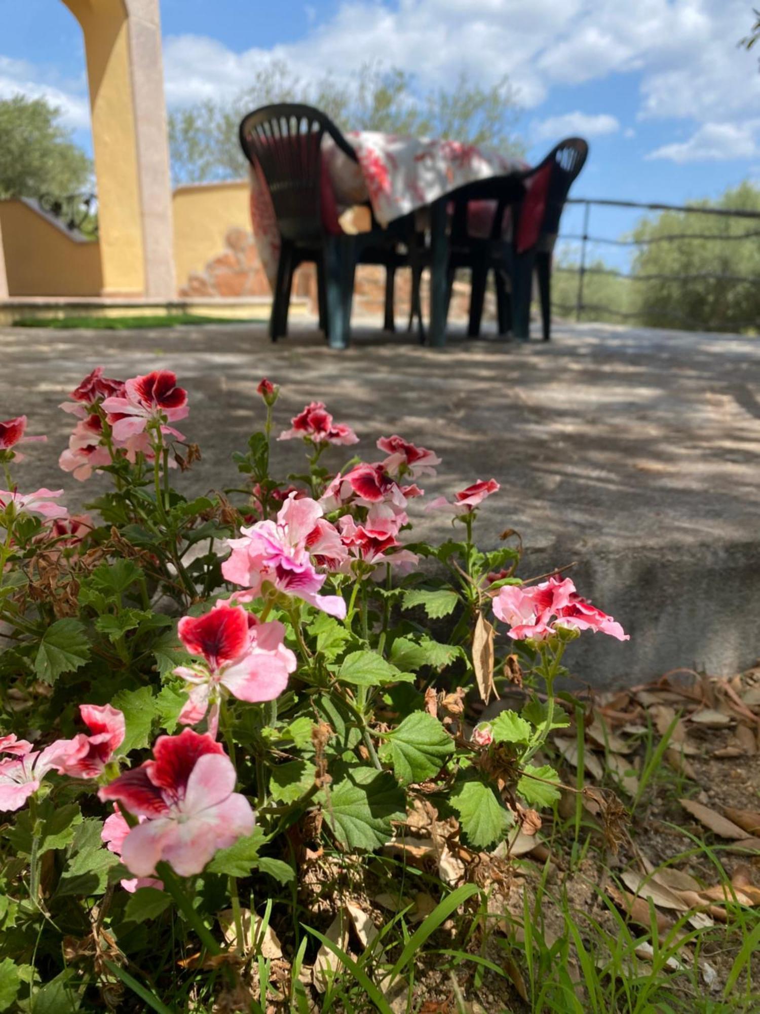 Case Vacanze Villa Rosita San Teodoro  Exterior foto